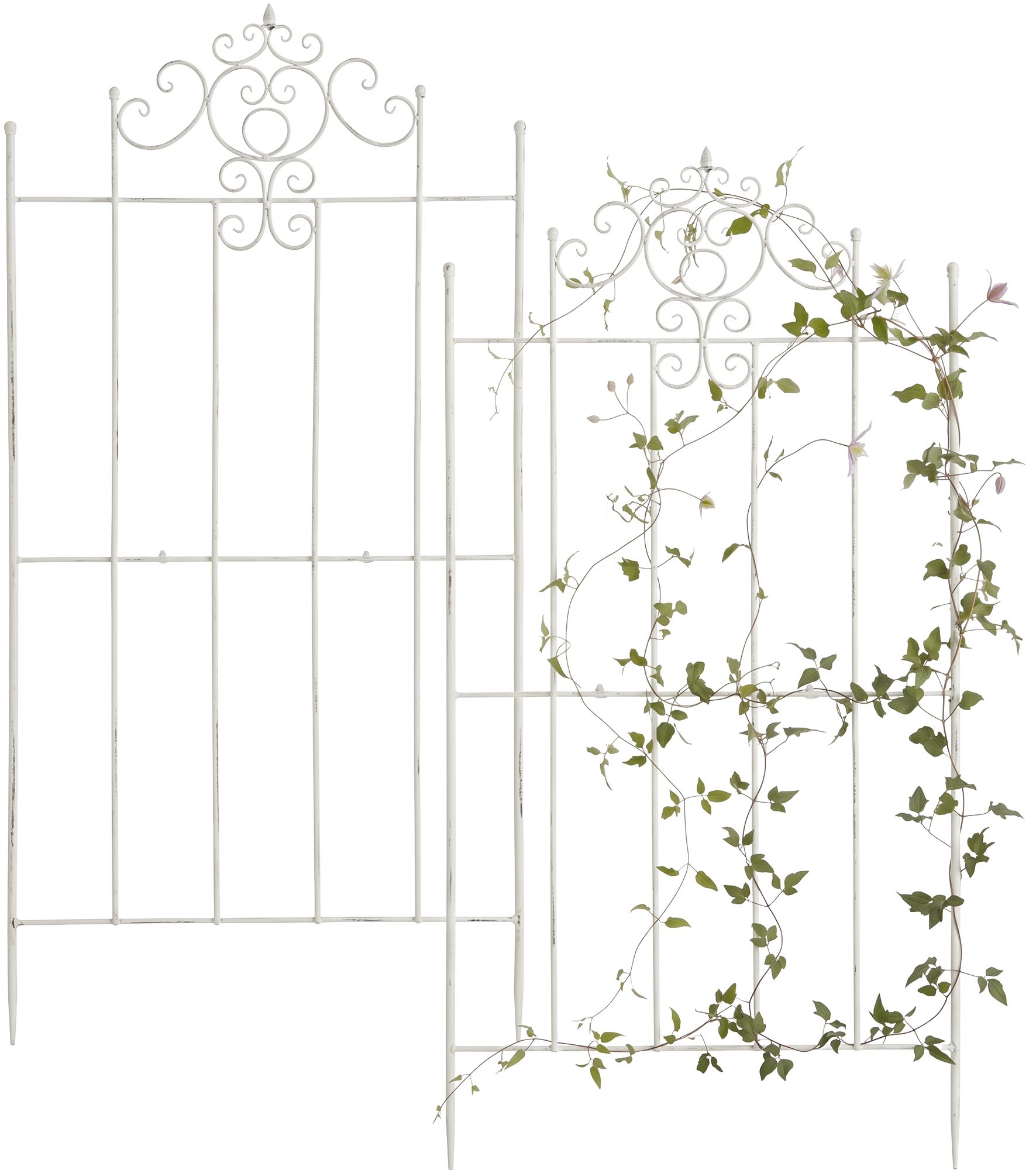 2er-set-rankgitter-paula-170-x-86-cm-424408