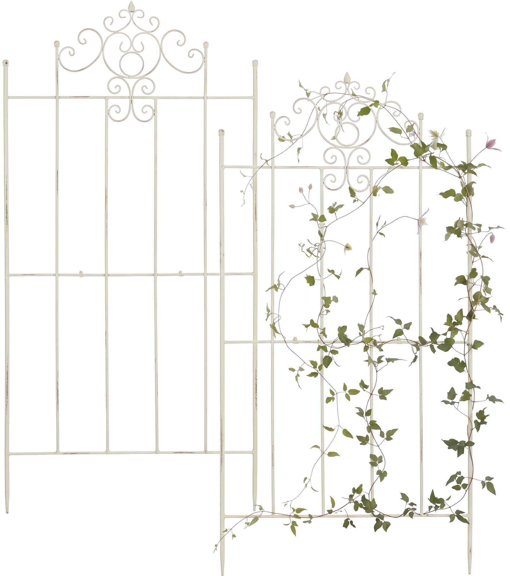 2er Set Rankgitter Paula 170 x 86 cm