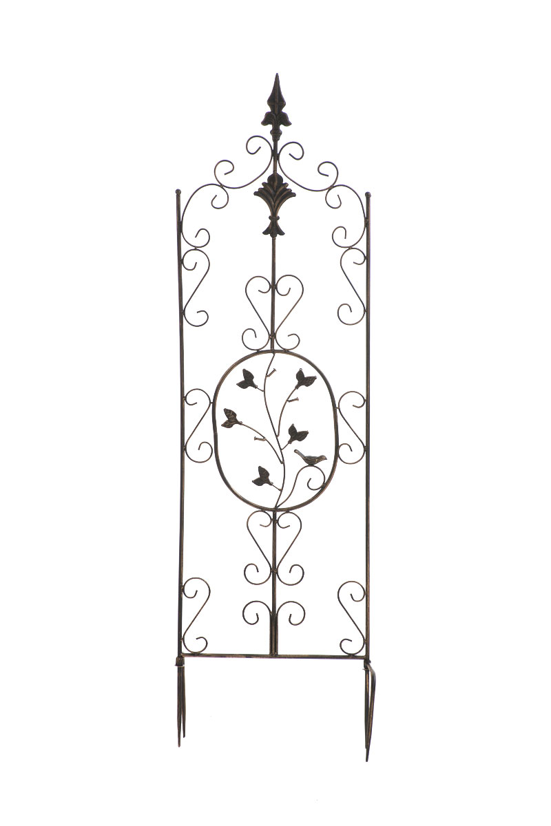 Pflanzen Rankgitter Burgus, 120 x 35 cm