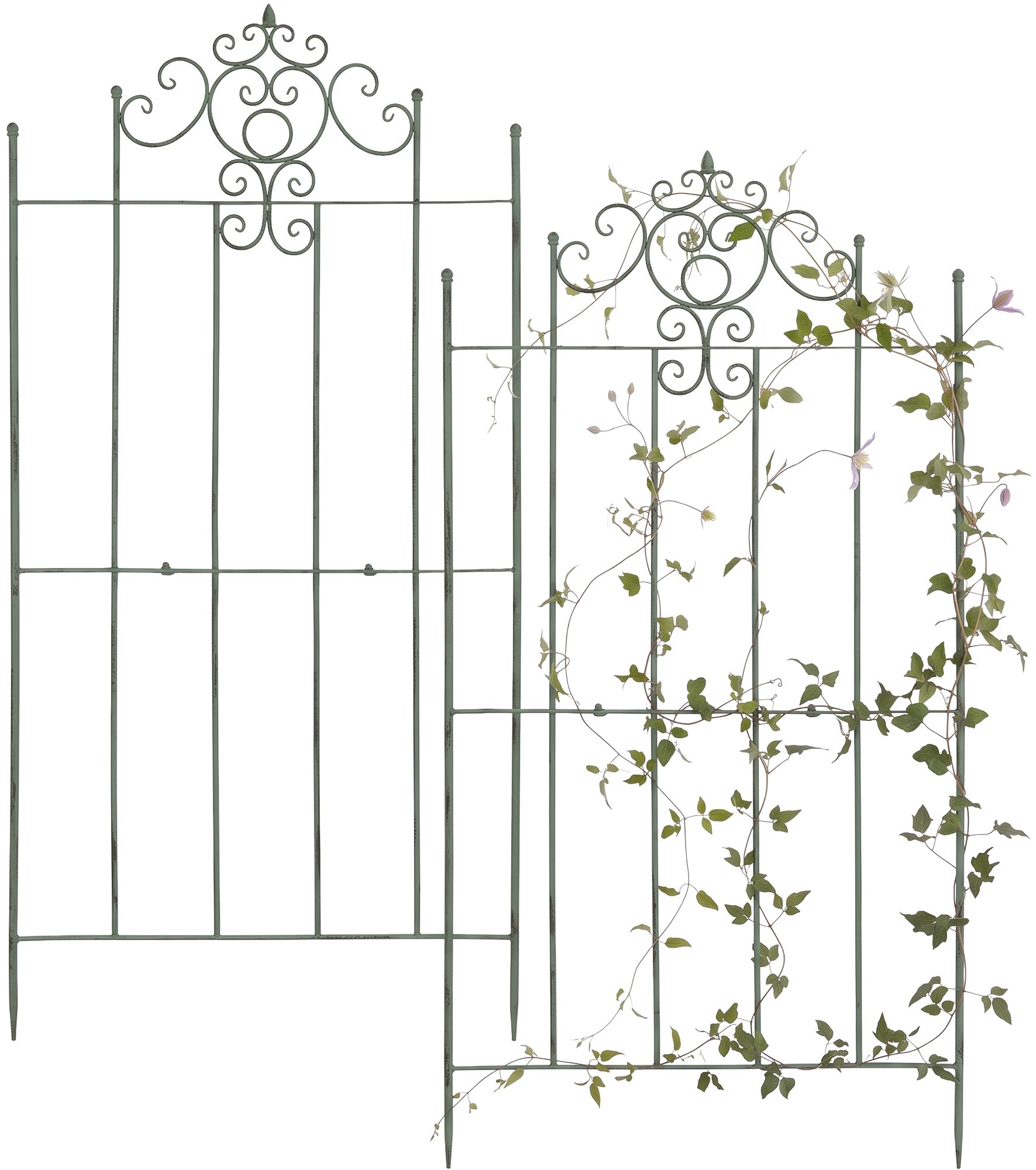 2er Set Rankgitter Paula 170 x 86 cm