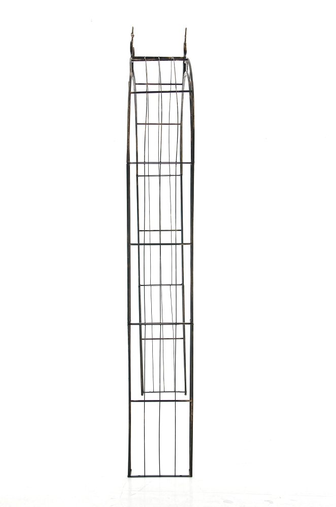 Rosenbogen Sun