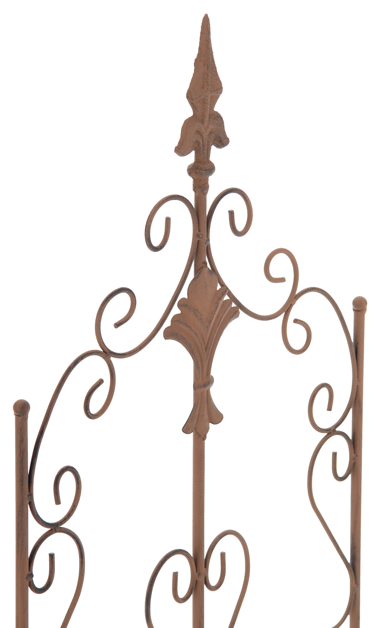 Pflanzen Rankgitter Burgus, 120 x 35 cm
