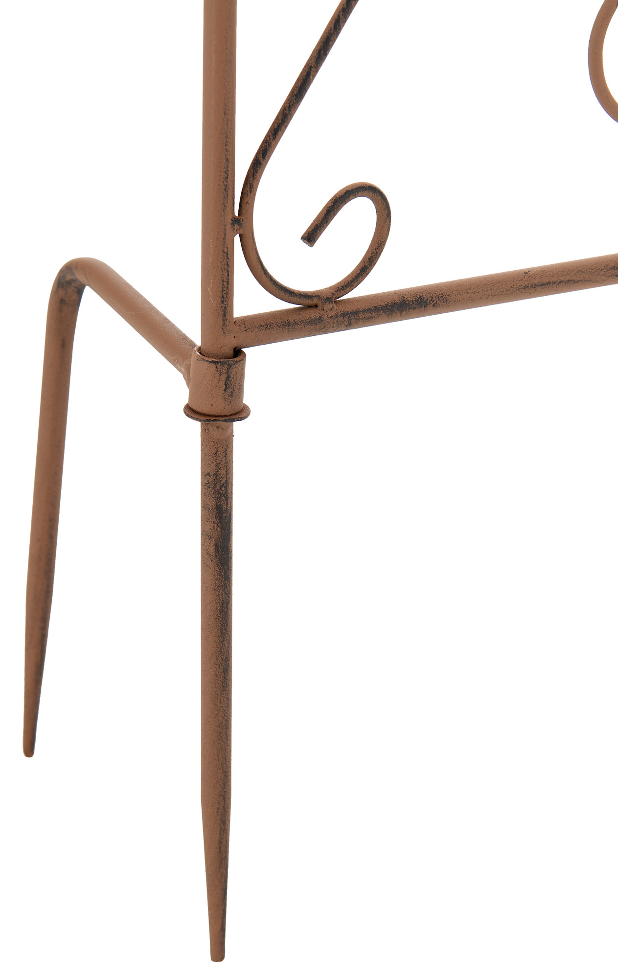 Pflanzen Rankgitter Burgus, 120 x 35 cm