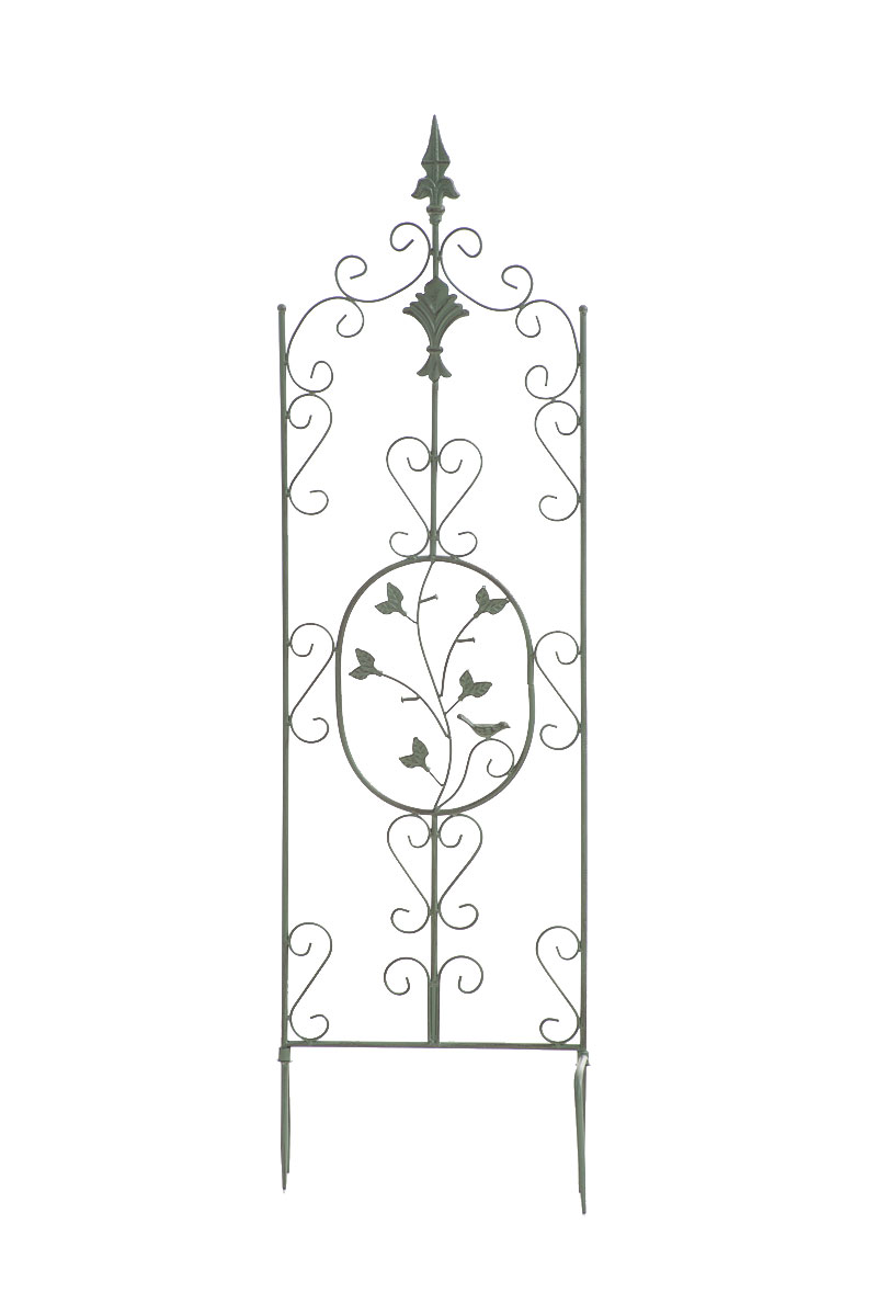 Pflanzen Rankgitter Burgus, 120 x 35 cm