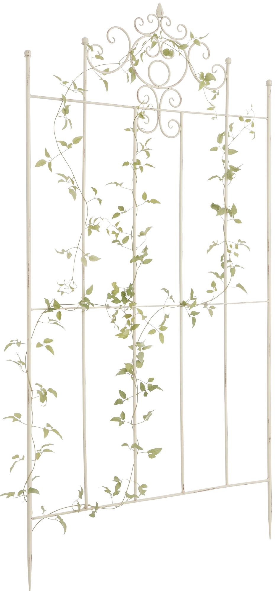 Rankgitter Paula 170 x 86 cm